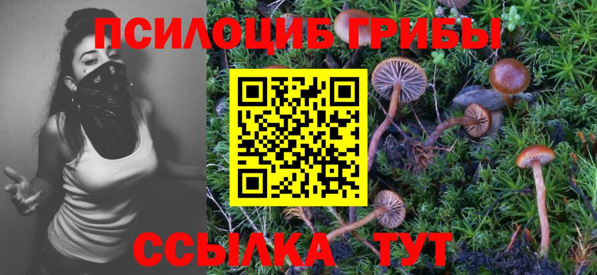 Псилоцибиновые грибы мухоморы  Вход с VPN  Великий Новгород  как найти наркотики  Псилоцибиновые грибы MAGIC MUSHROOMS 