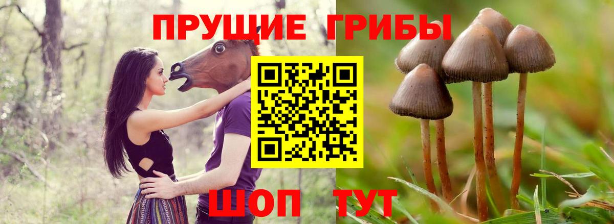 Галлюциногенные грибы мицелий Великий Новгород